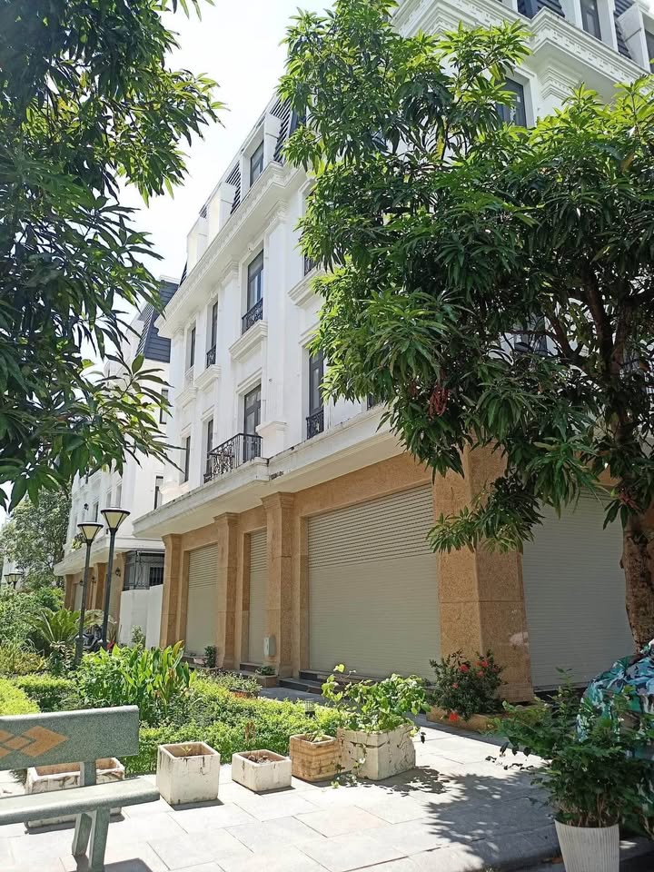 Shophouse Hoàng Huy Mall Hải Phòng 78m² giá 12.5 tỷ - Đầu tư sinh lời ngay!