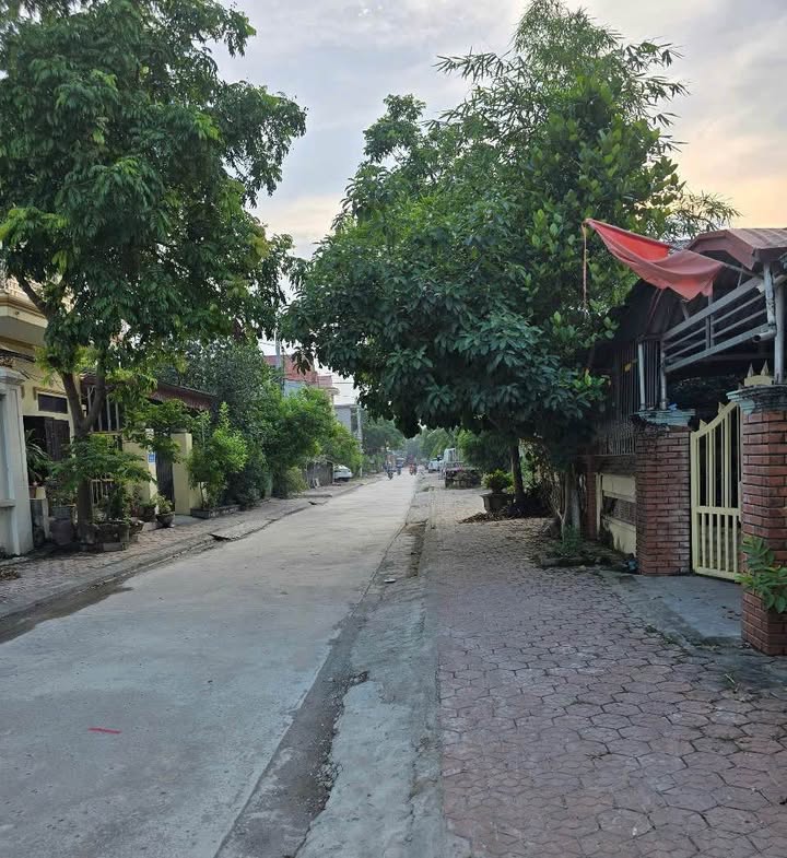 Đất nền liền kề Tân Dưỡng 2, Ninh Vân, 132m² - Đầu tư sinh lời hấp dẫn!