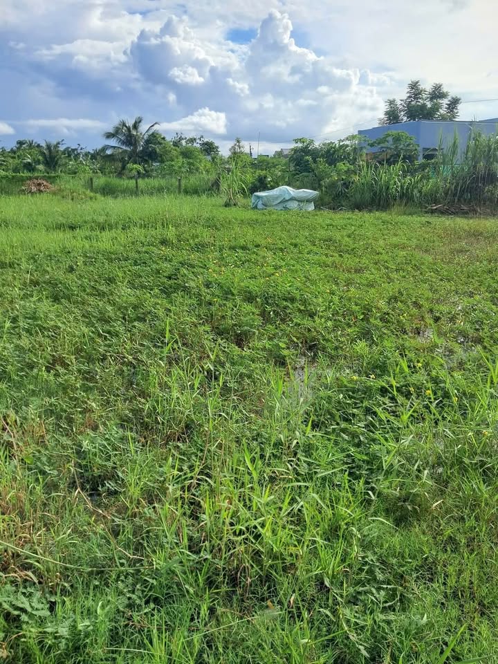 Đất nền 188m² Hiệp Trị, Bình Nghị, Gò Công Đông giá 325 triệu - Cơ hội đầu tư hấp dẫn!