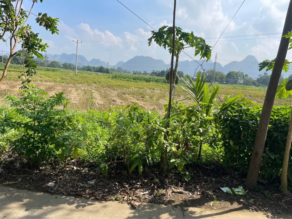 Đất ở xã Liên Sơn, Lương Sơn 200m² giá 1 tỷ - Cơ hội đầu tư tuyệt vời!