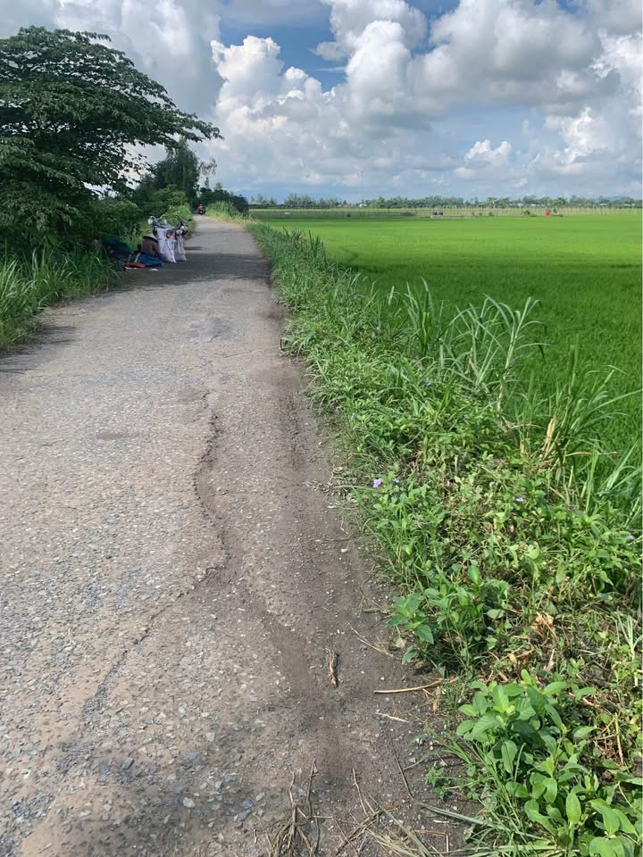 Đất nền 8 công tại xã Mỹ Đức, Châu Phú, An Giang giá 2.3 tỷ - Đầu tư sinh lời ngay!