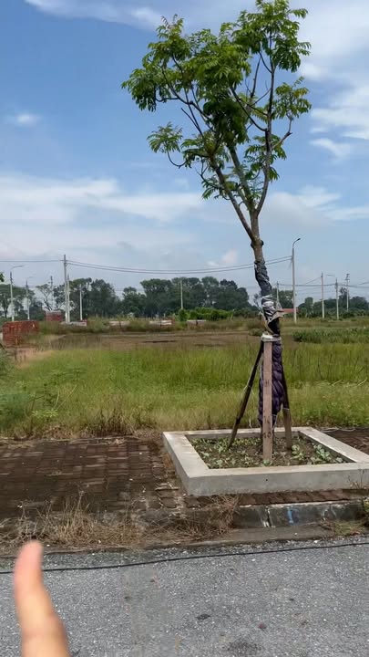 Đất nền Tống Trân, Phù Cừ 113m² giá 1.6 tỷ - Cơ hội đầu tư sinh lời!