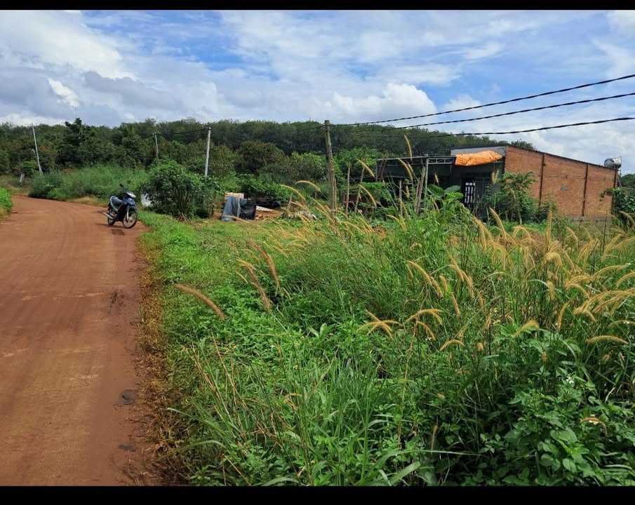 Đất nền Nghĩa Trung, Bù Đăng 54m² giá 190 triệu - Cơ hội đầu tư tuyệt vời!