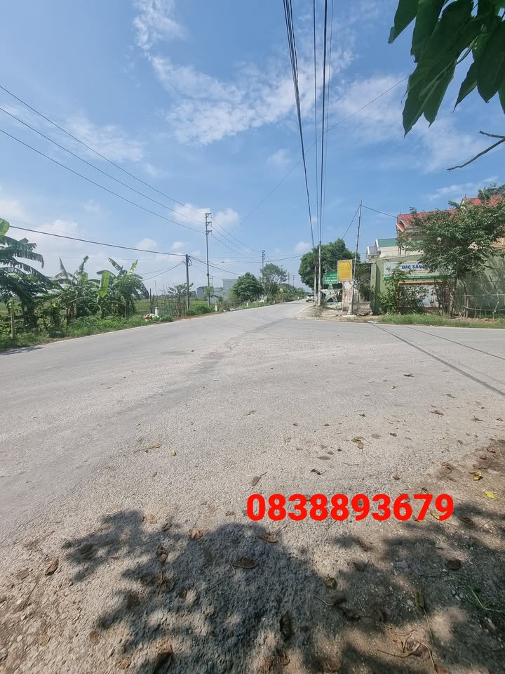 Đất nền Tân Phong, Quảng Xương 125m² - Cơ hội đầu tư tuyệt vời!