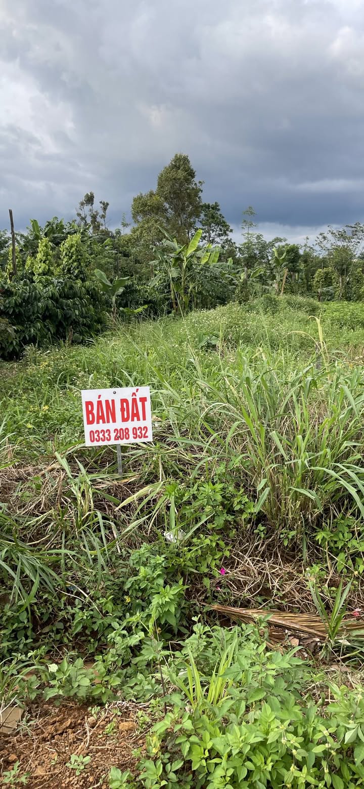 Đất thổ cư Kiến Đức 271m² giá thỏa thuận - Chính chủ, không qua môi giới!