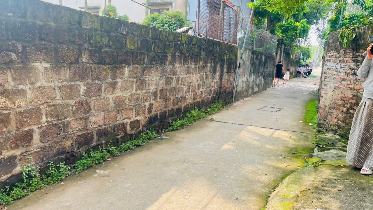 Đất nền khu phố 3, xã Tự Nhiên, Thường Tín 86m² giá 2.901 tỷ - Khu vực đông dân cư, kinh doanh sầm uất!