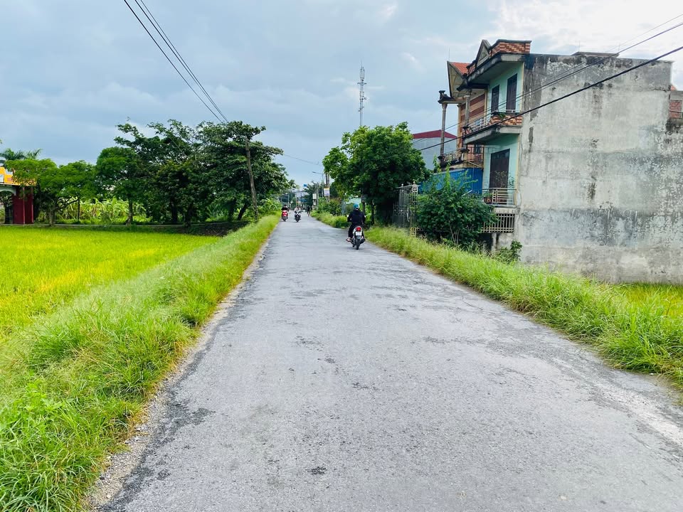 Đất nền Bình Thanh, Kiến Xương 100m² - Kinh doanh sầm uất, giá thương lượng!