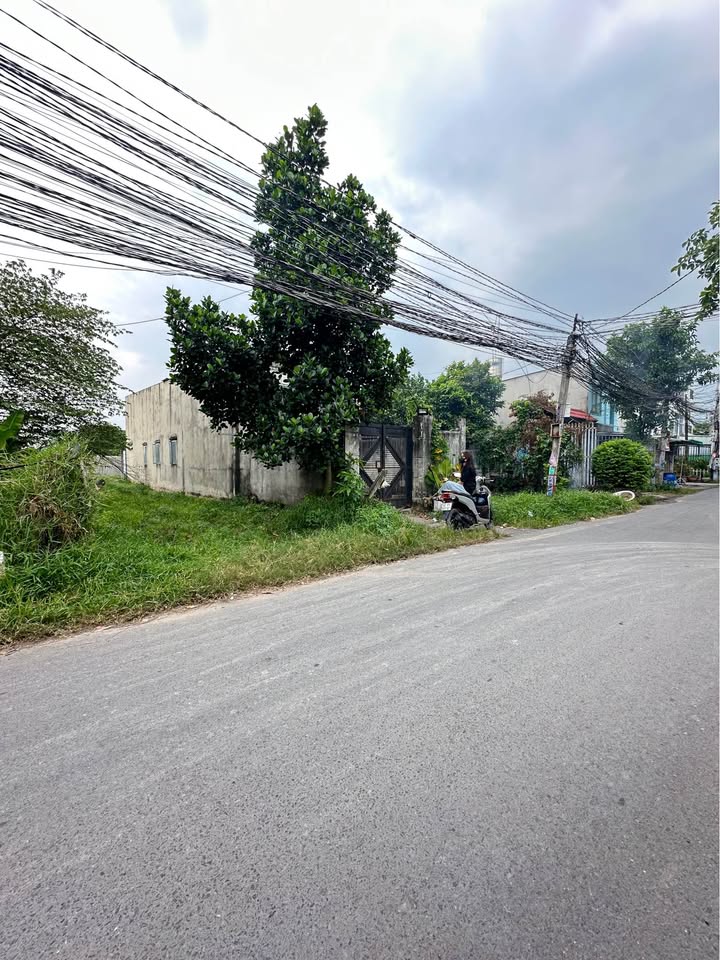 Đất mặt tiền đường Hoa Vàng, Mỹ Hạnh Nam 450m² giá 3.3 tỷ - Cơ hội đầu tư tuyệt vời!