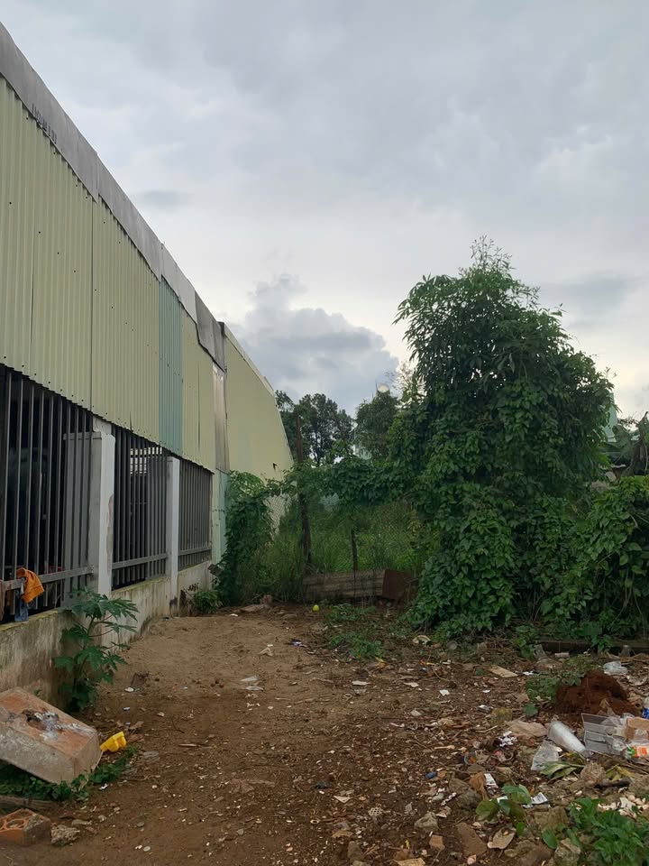 Nhà hẻm 101 Lý Nam Đế Pleiku 280m² giá 1.45 tỷ - Gần chợ, trường học, giao thông thuận tiện!