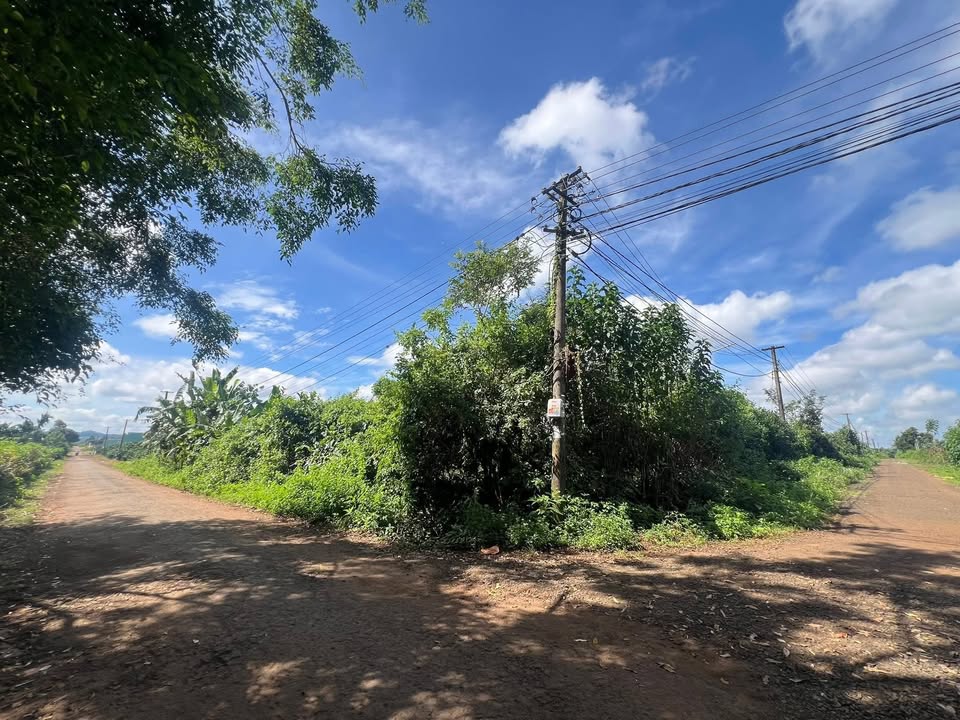 Đất nền 3 lô hẻm Hà Huy Tập, Thống Nhất, 150m² - Đầu tư sinh lời ngay!