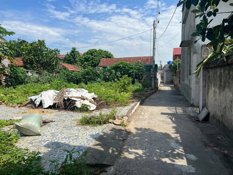 Đất nền Minh Lãng Vũ Thư Thái Bình 60m² - Cơ hội đầu tư hiếm có!