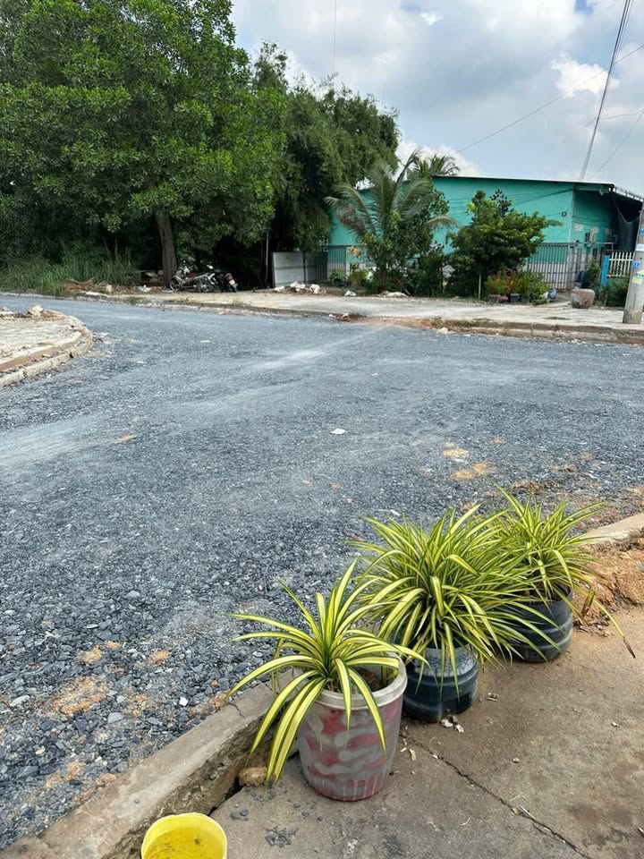 Đất nền 100m² tại Lương Bình, Bến Lức - Giá chỉ 1.65 tỷ, sổ đỏ chính chủ!