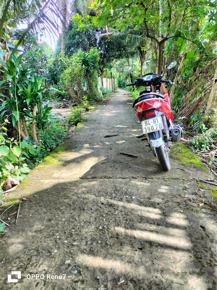 Đất mặt tiền đường Đan L xe Honda, 540m² giá 300 triệu - Cơ hội đầu tư hấp dẫn!