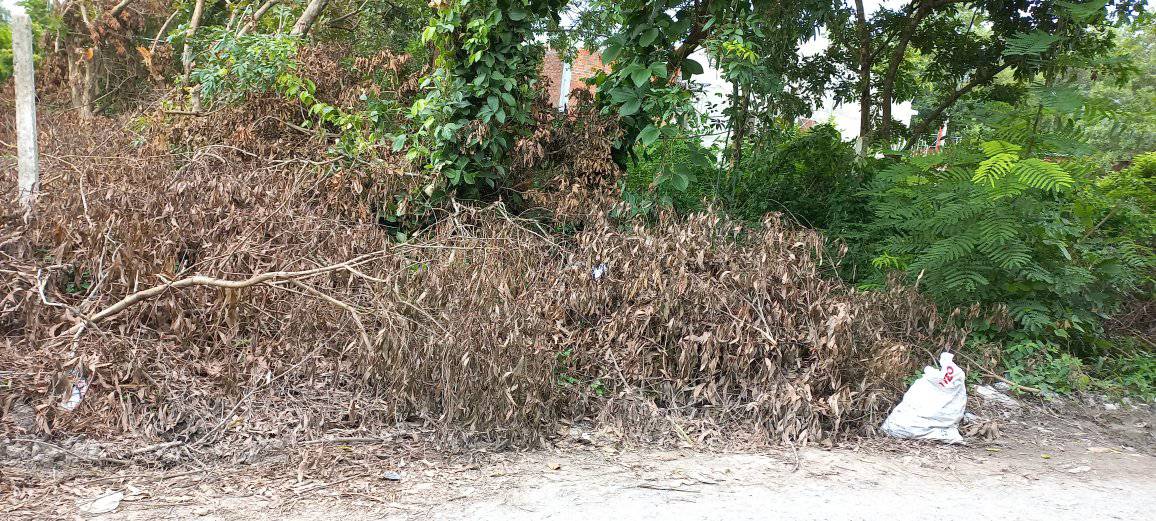 Đất nền ấp Long Hải, xã Trường Tây, Hòa Thành, Tây Ninh - 2000m² giá chỉ 12 tỷ