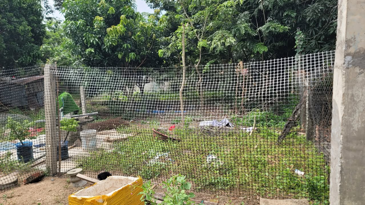 Đất nền Cam Tân Cam Lâm 899m² giá 1.8 tỷ - Đầu tư tiềm năng không thể bỏ lỡ!