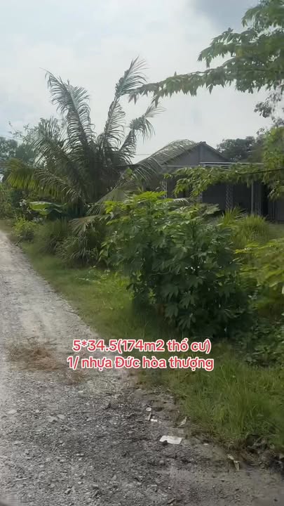 Đất nền thổ cư 172.5m² xã Mỹ Hạnh - Giá chỉ 1.6 tỷ, thương lượng ngay!