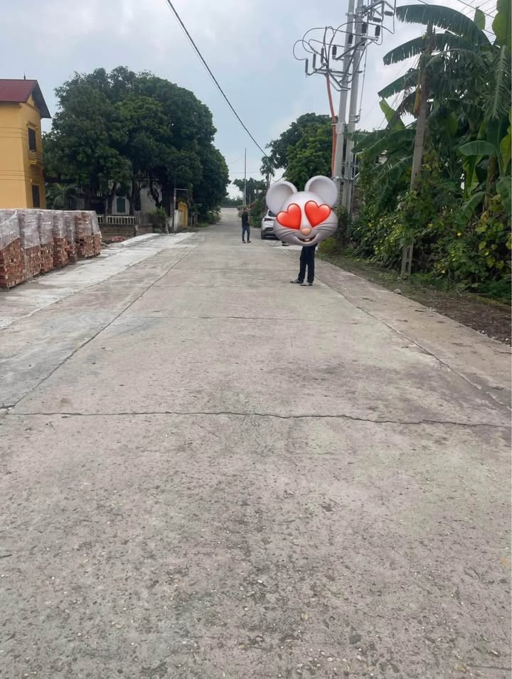 Lô đất Nhất Trai, Minh Tân, Lương Tài 170m² giá chỉ 2 tỷ - Đầu tư siêu lời!