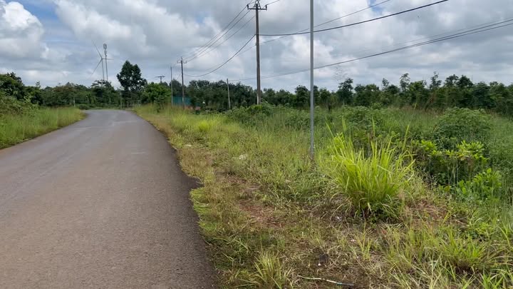 Đất nền Đắk Song 270m² giá 600 triệu - Sổ đỏ chính chủ, đầu tư sinh lời!