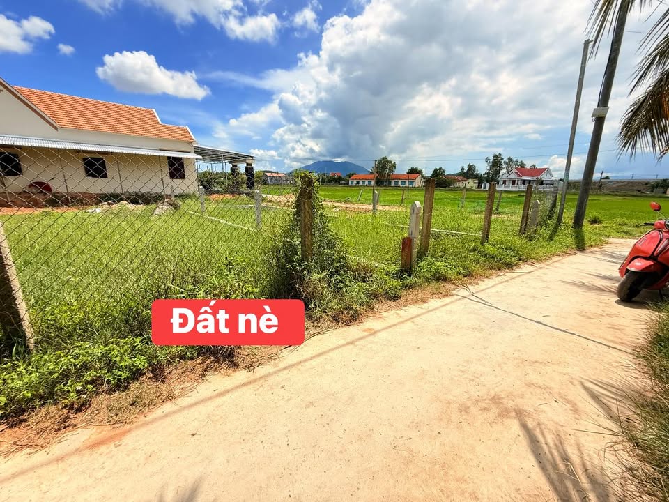 Đất Ninh Trung Ninh Hòa 75m² giá 2xx triệu - Đầu tư sinh lời ổn định!