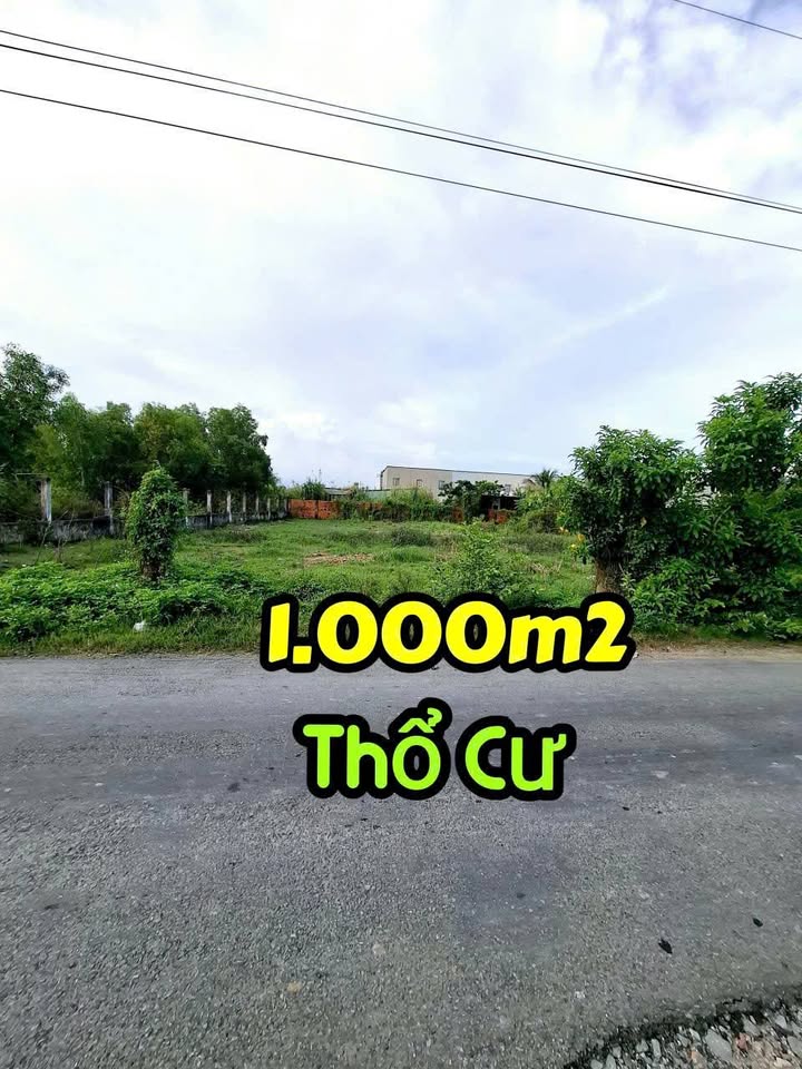 Đất nền thổ cư 1.000m² xã Long Thượng, Cần Giuộc - Giá chỉ 9 tỷ có thương lượng!