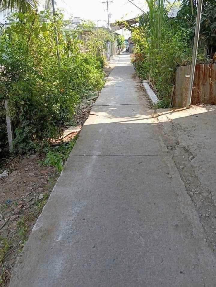 Đất nền Tân Lược, Bình Tân 196m² giá chỉ 260 triệu - Cơ hội đầu tư hiếm có!