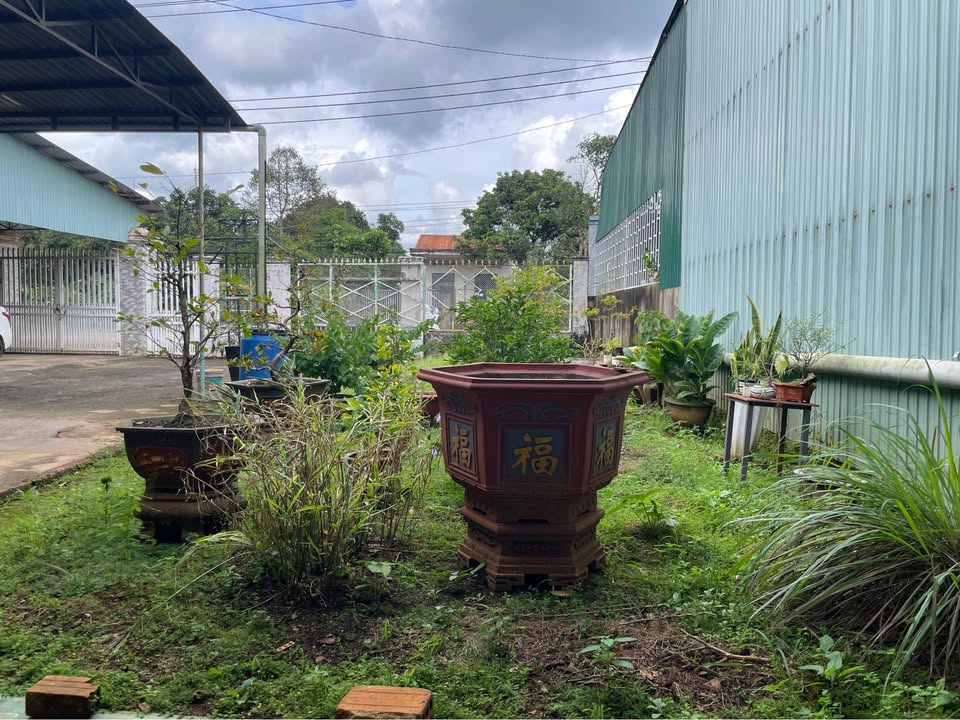 Đất thổ cư mặt tiền đường Ký Con, An Khê, 200m² giá 2.39 tỷ - Vị trí đẹp thuận lợi!