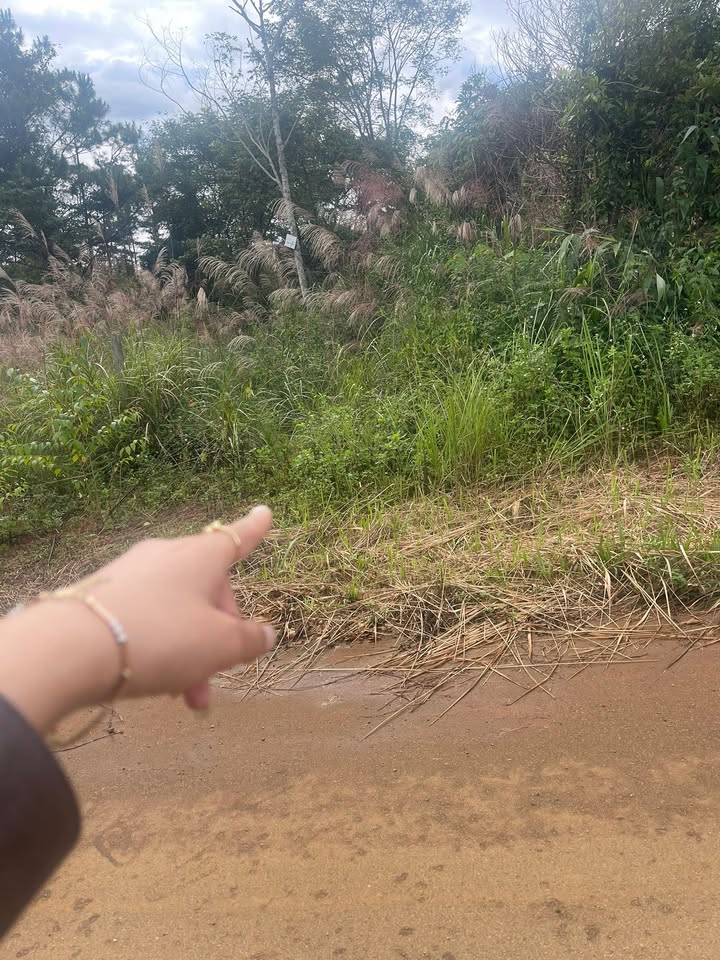 Đất nền Măng Đen 161m² - Gần đường Lê Hồng Phong, đầu tư sinh lời!