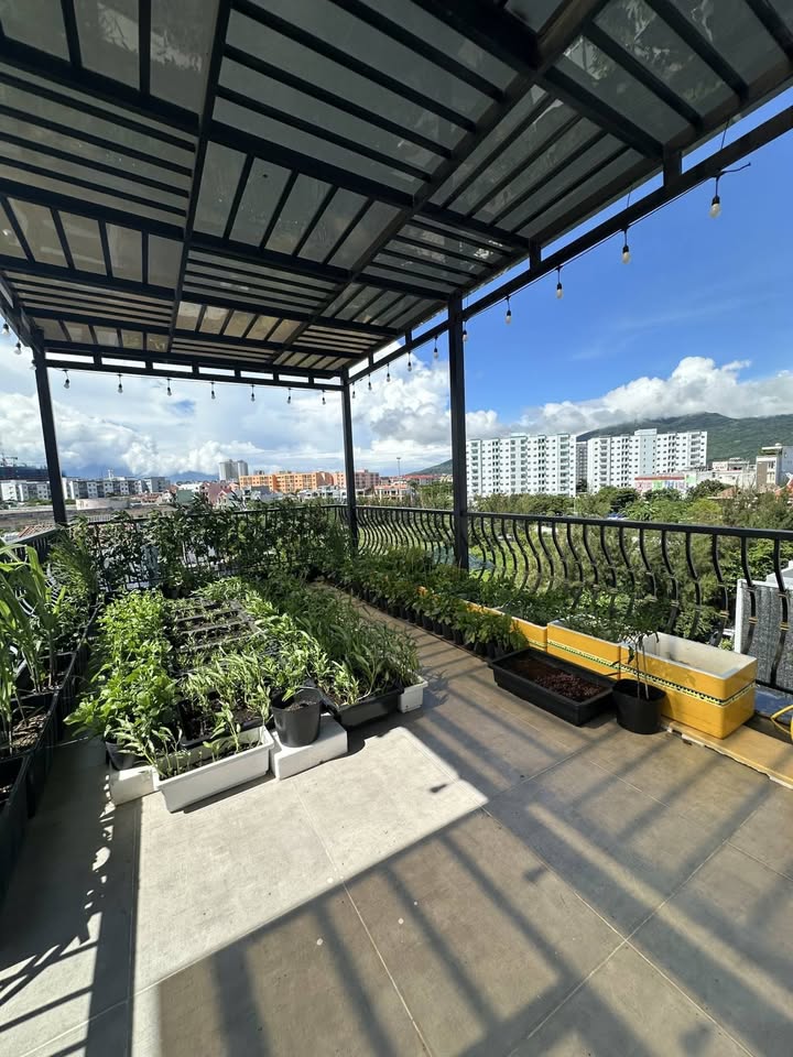 Nhà mặt tiền đường Hoàng Quốc Việt 80m² giá 12 tỷ - Đầu tư sinh lời tuyệt vời!