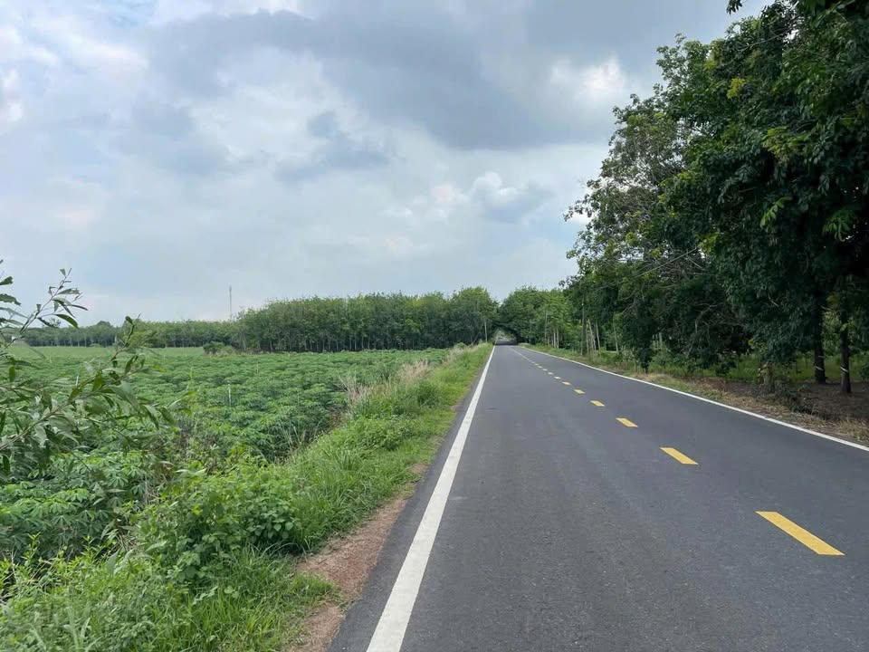 Đất nền mặt tiền ĐT 792, Tân Hà, Tân Châu, Tây Ninh 42000m² - Cơ hội đầu tư tuyệt vời!