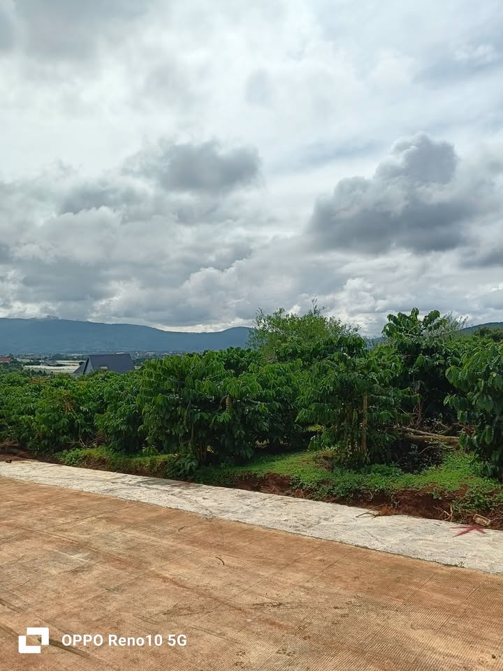 Đất nền xã Nam Ban 300m² giá chỉ 699 triệu - Sổ riêng thổ cư sẵn!