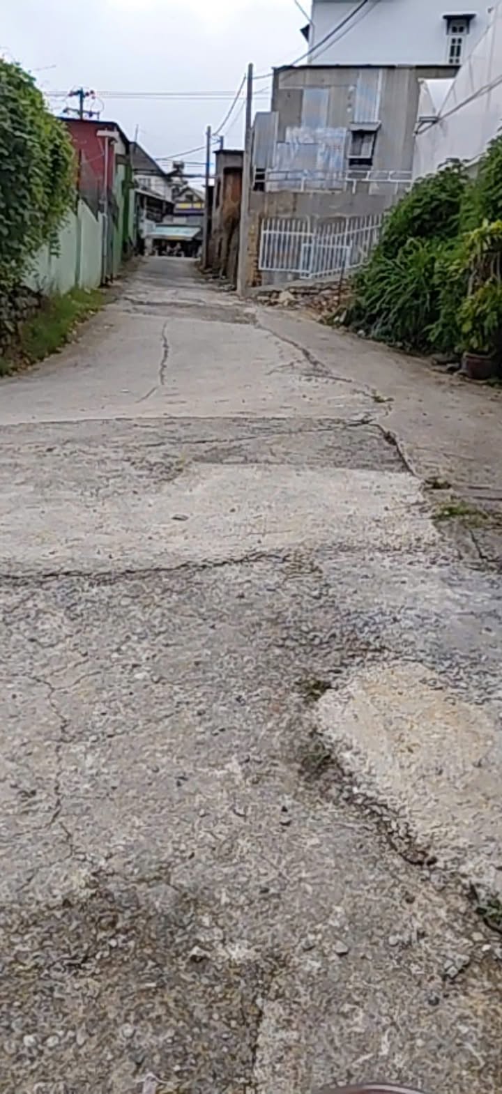 Đất nền đường Triệu Việt Vương, phường Xuân Hương, Đà Lạt 65.6m² - Gần khu dân cư, giá tốt!