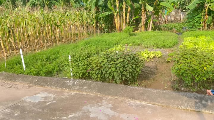 Đất nền Hòa Mạc Duy Tiên 67m² - Lô góc, đường lớn tiện lợi!