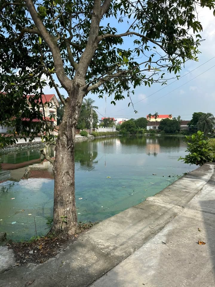 Đất nền Trừng Xá Lương Tài 168m² giá 1.364 tỷ - Đầu tư sinh lời ngay!