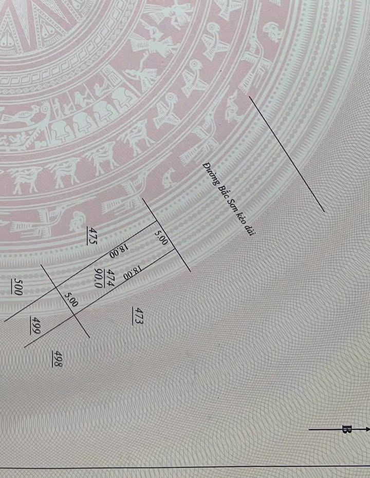 Đất nền đường Bắc Sơn, phường Quang Trung 90m² - Giá thỏa thuận hấp dẫn!