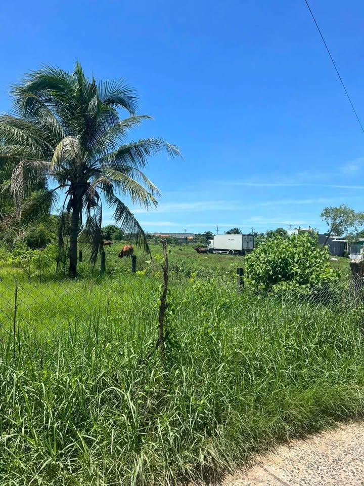 Lô đất xây biệt thự phường Hàm Thắng 791m² giá 3.4 tỷ - Cơ hội đầu tư tuyệt vời!