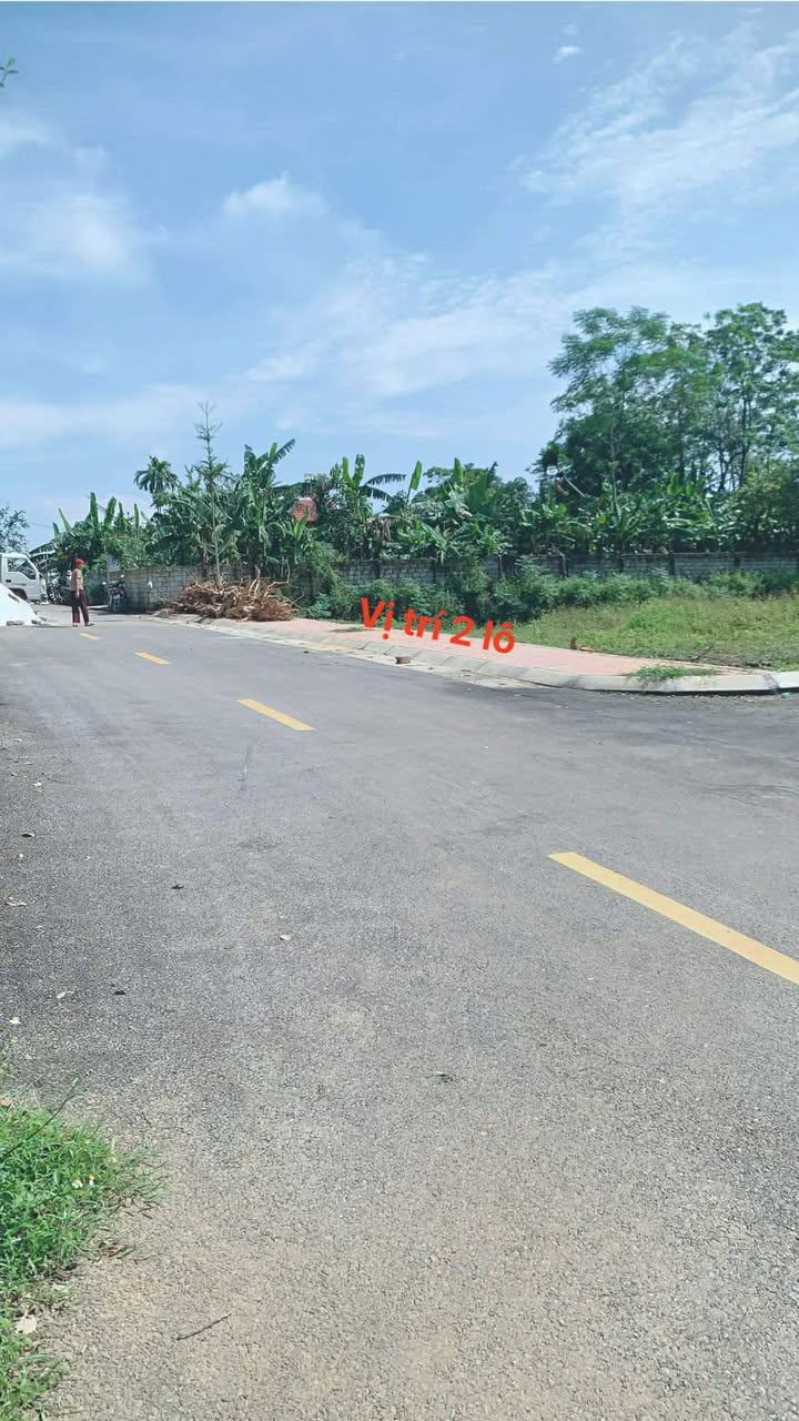 Đất nền Minh Sơn Triệu Sơn 100m² giá chỉ 500 triệu - Cơ hội đầu tư hấp dẫn!