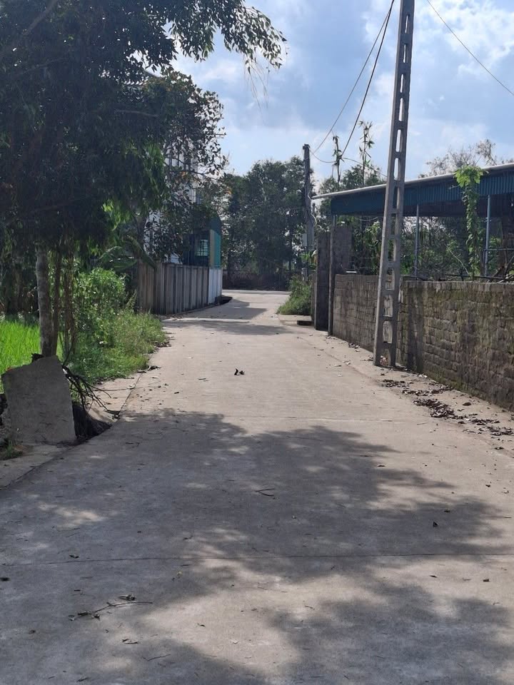 Đất Nghi Thịnh 140m² giá chỉ 1.1 tỷ - Đường bám thông thoáng