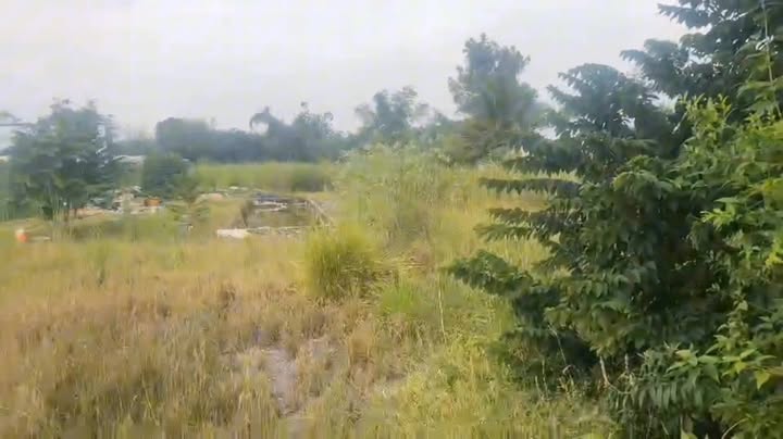 Đất nền mặt tiền Cây Trôm Mỹ Khánh 6300m² giá 68 tỷ - Kinh doanh sầm uất!