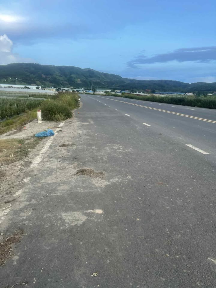 Đất mặt tiền đường nhựa Phú Hội, Đức Trọng 900m² giá 9 tỷ - Cơ hội đầu tư tuyệt vời!