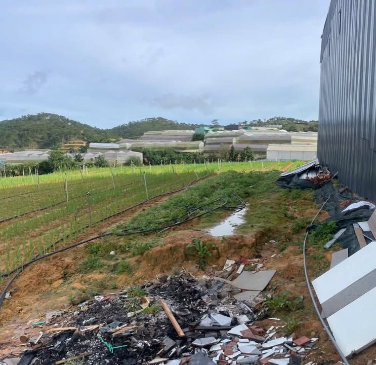 Đất đẹp phường Lang Biang, Đà Lạt 115m² giá 1.25 tỷ - Đường xe 16 chỗ tận cửa!