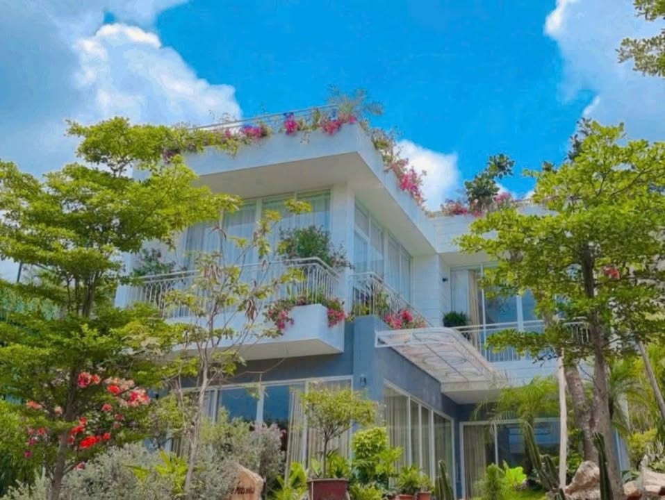 Bán gấp biệt thự tại Flamingo Đại Lải Resort Vĩnh Phúc 250m² - Lợi nhuận cho thuê 100 triệu/tháng!
