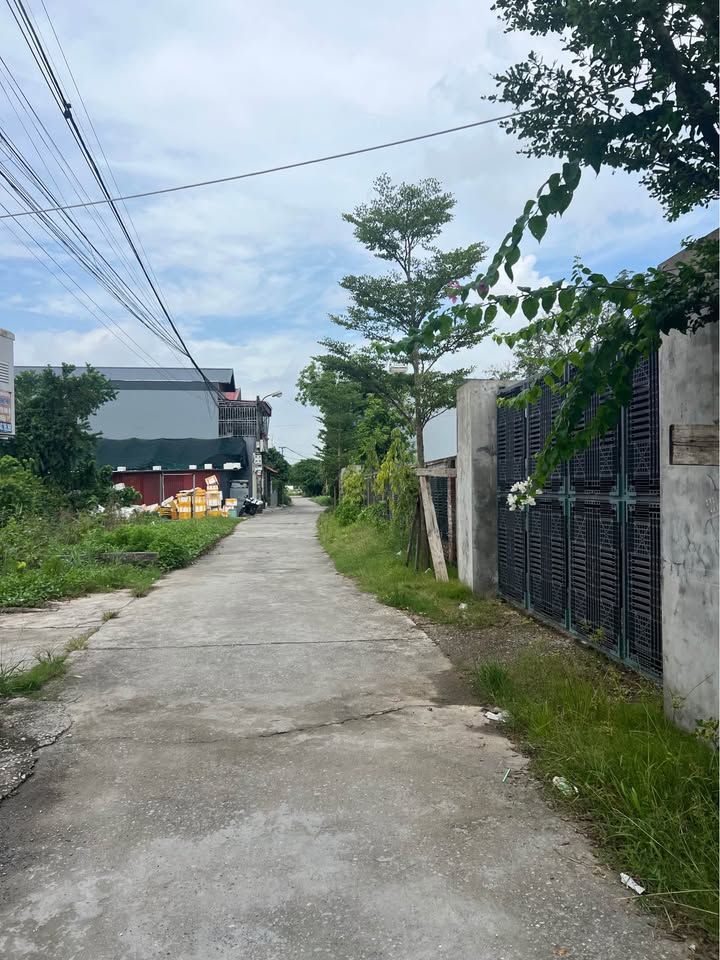 Đất nền chính chủ Phùng Thị Chinh 79m² giá chỉ 1.75 tỷ - Đầu tư sinh lời!