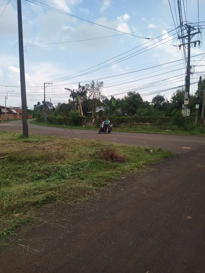 Đất nền Bình Lộc, Long Khánh 100m² giá 1 tỷ - Đầu tư sinh lời ngay!