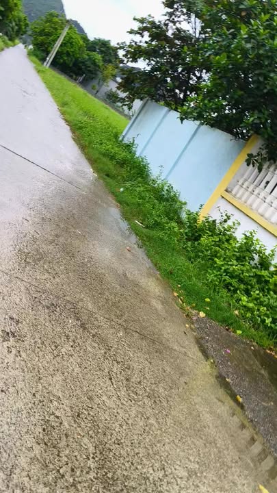 Đất thổ cư Thạch Bình Nho Quan 110m² - Giá chỉ từ 6xx triệu VND