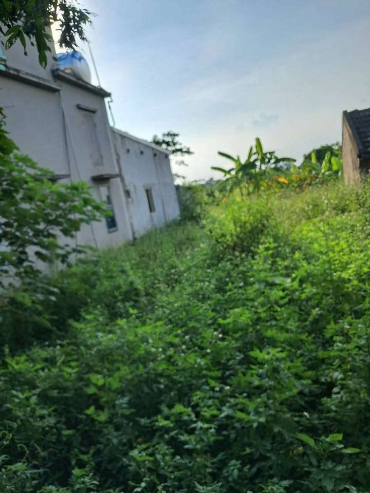 Đất nền Khánh Mậu 228.5m² giá 700 triệu - Chính chủ bán gấp!