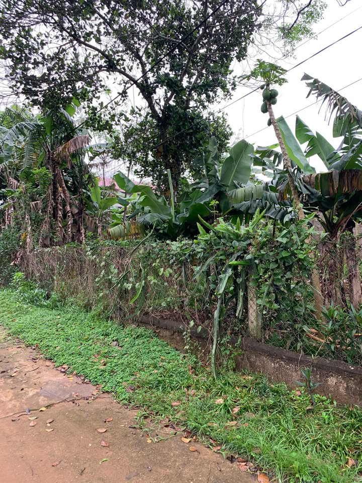 Đất nền Hắc Hiền - Kim Thạch 400m² giá thỏa thuận - Đầu tư sinh lời ngay!