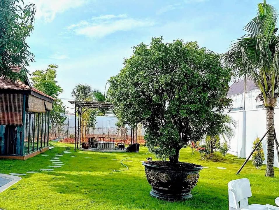 Đất farm mặt tiền đường tỉnh lộ 9, Mỹ Hạnh, Đức Hòa - 8.350m² giá 42 tỷ - Cơ hội đầu tư hấp dẫn!
