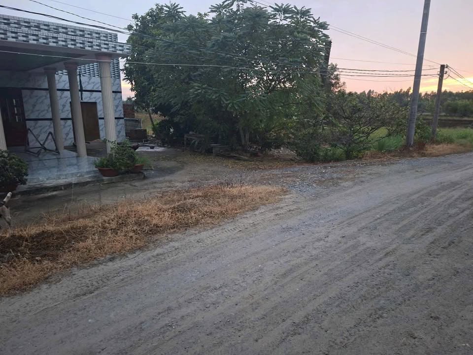 Đất nền Tân Phú Đức Hòa 3441m² giá 4.7 tỷ - Sổ hồng chính chủ, ô tô vào tận nơi!