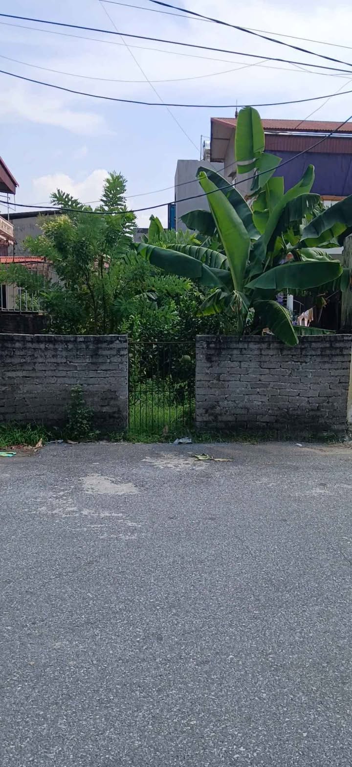 Bán đất Thứa, Lương Tài 55m² giá 2.2 tỷ - Ô tô tránh, mặt tiền rộng