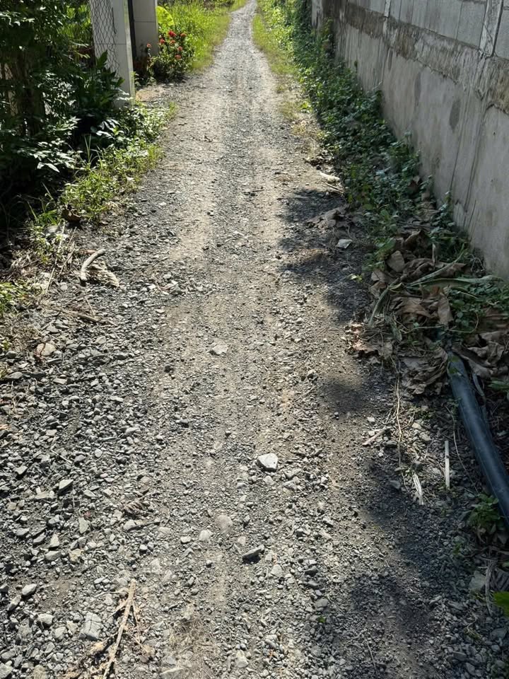 Nhà cấp 4 xã Mỹ Lệ, Cần Đước, 126m² giá 1.6 tỷ - Sổ hồng chính chủ!